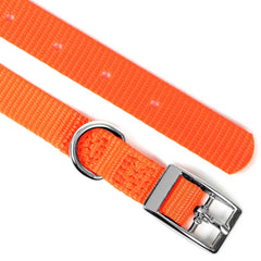 Jeffers Solid Web Nylon Dog Collar with Nickel Plated Hardware, 5/8"Wx12"L - Adjustable Durable Nylon Pet Collar for Small to Medium Dog, Perfect for Walking, Training, Travel, & Outdoor - Orange