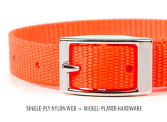 Jeffers Solid Web Nylon Dog Collar with Nickel Plated Hardware, 5/8"Wx12"L - Adjustable Durable Nylon Pet Collar for Small to Medium Dog, Perfect for Walking, Training, Travel, & Outdoor - Orange