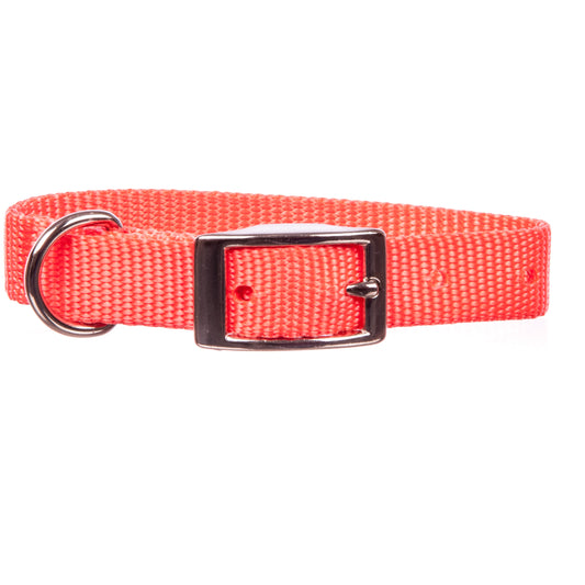 Jeffers Pet Solid Nylon Dog Collars, Orange, 5/8"Wx16"L – Adjustable, Durable & Safe for Dogs, Lightweight & Double Ply Design, Stylish Pet Accessories - Perfect for Training, Walking & Tracker