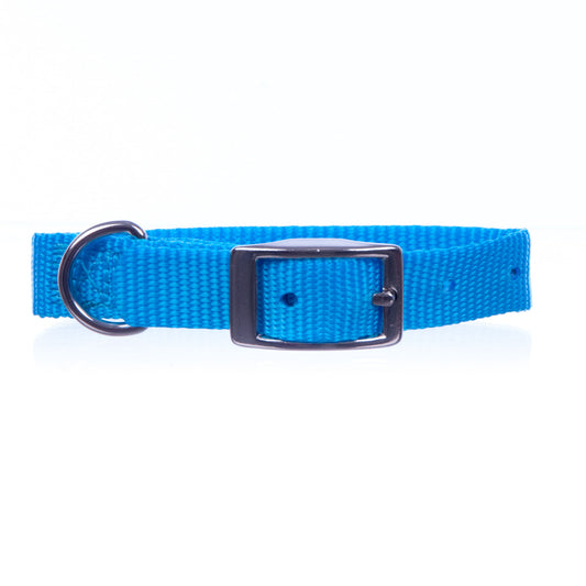 Jeffers Pet Solid Nylon Dog Collars, Turquoise, 5/8"W x 18"L – Adjustable, Durable & Safe for Dogs, Lightweight & Double Ply Design, Stylish Pet Accessories - Perfect for Training, Walking & Tracker