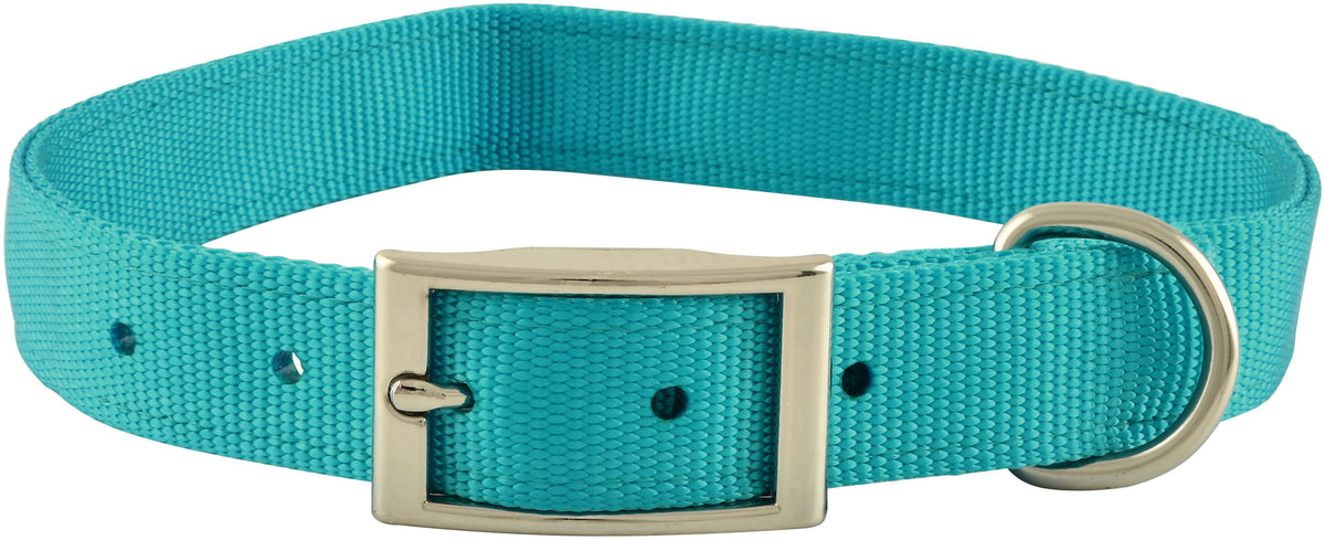 1" x 26" Dog Collar Color: Turquoise