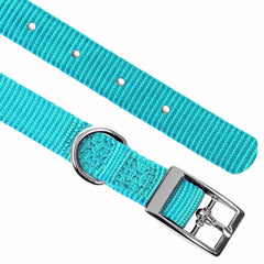 Jeffers Solid Web Nylon Dog Collar with Nickel Plated Hardware, 5/8"Wx10"L - Adjustable Durable Nylon Pet Collar for Small to Medium Dog, Perfect for Walking, Training, Travel, & Outdoor - Turquoise