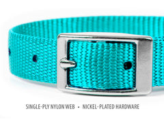 Jeffers Solid Web Nylon Dog Collar with Nickel Plated Hardware, 5/8"Wx10"L - Adjustable Durable Nylon Pet Collar for Small to Medium Dog, Perfect for Walking, Training, Travel, & Outdoor - Turquoise