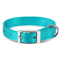 Jeffers Solid Web Nylon Dog Collar with Nickel Plated Hardware, 5/8"Wx10"L - Adjustable Durable Nylon Pet Collar for Small to Medium Dog, Perfect for Walking, Training, Travel, & Outdoor - Turquoise