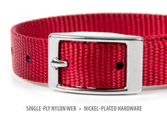 Jeffers Solid Web Nylon Dog Collar with Nickel Plated Hardware, 5/8"Wx14"L - Adjustable Durable Nylon Pet Collar for Small to Medium Dog, Perfect for Walking, Training, Travel, & Outdoor - Red