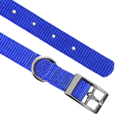 Jeffers Solid Web Nylon Dog Collar with Nickel Plated Hardware, 5/8"Wx14"L - Adjustable Durable Nylon Pet Collar for Small to Medium Dog, Perfect for Walking, Training, Travel, & Outdoor - Royal Blue