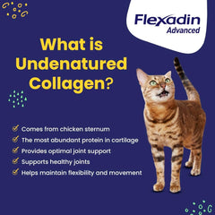 Flexadin Advanced with UC-II 30 count