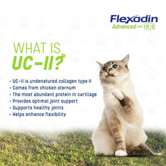 Flexadin Advanced with UC-II 60 count
