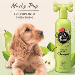 Pet Head Mucky Puppy Shampoo 16oz