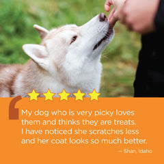 Vetality Aller-Immune Skin & Coat Well Chews for Dogs (in canister)