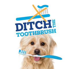 Vetality Brush Free Daily Dental Chews for Dogs`