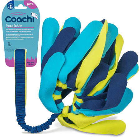 شركة الحيوانات Coachi Tuggi Spider