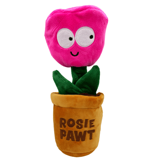 HUXLEY &amp; KENT لعبة البحث عن المكافآت للكلاب Rosie Pawt L