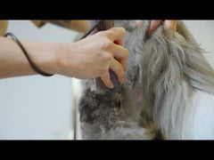 WAHL KM10+ 2-Speed Clipper