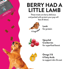 *SHAMELESS PETS Jerky Bites Berry Had A Little Lamb 4.5oz