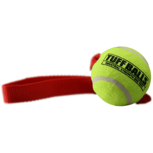لعبة PETSPORT Mini Fetch Me Fido بمقبض 8 بوصات وكرة صلبة 1.8 بوصة