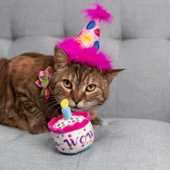 HUXLEY & KENT Cat Mewow Cake