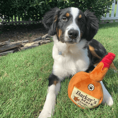 HUXLEY & KENT Dog Power Plush Barker's Mark S