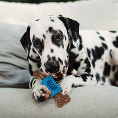 ETHICAL/SPOT Bam-Bone+ Dental Chew Bacon 6.5"