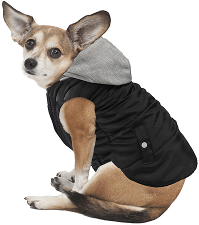 *FASHION PET سترة رياضية منفوخة قابلة للعكس سوداء مقاس صغير