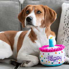 HUXLEY & KENT Dog Power Plush Happy Barkday Cake S
