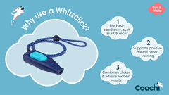 COACHI Whizzclick Dog Clicker Navy Blue