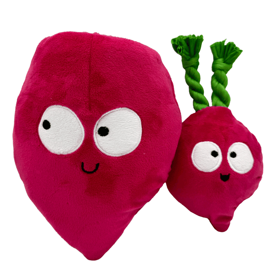 HUXLEY &amp; KENT Dog Pop 'n Fetch Beet L