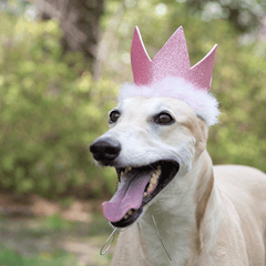 HUXLEY & KENT Party Crown Pink L