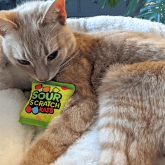 HUXLEY & KENT Cat Sour Scratch Kats