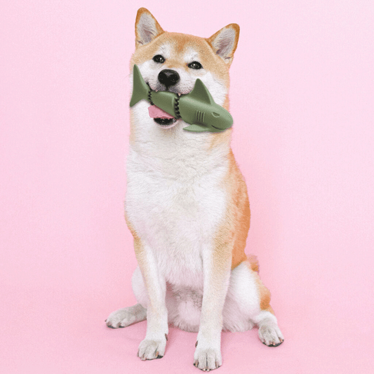 ETHICAL/SPOT Love The Earth Shark 7"