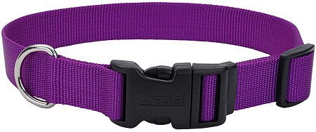طوق كلب قابل للتعديل من COASTAL TUFF مقاس 1x18-26 بنفسجي