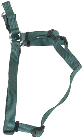 حزام COASTAL Comfort Wrap مقاس 1 × 26-38 بوصة - أخضر هنتر