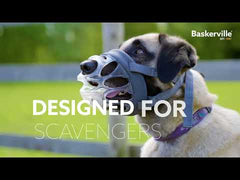 COMPANY OF ANIMALS Baskerville Invisa Muzzle Size 4 Clear