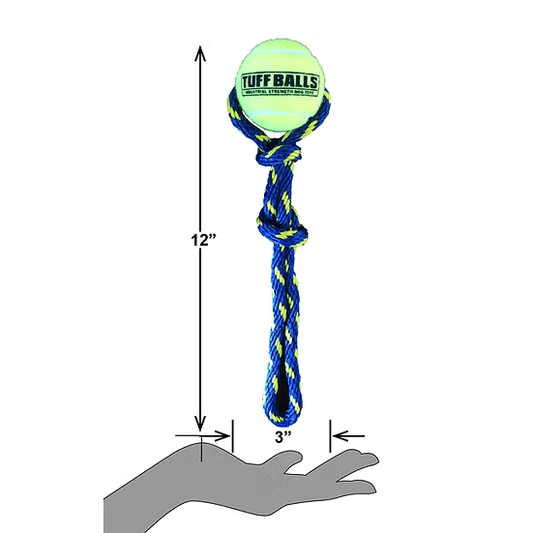 حبل PETSPORT Fling Thing بطول 12 بوصة مع كرة متينة مقاس 2.5 بوصة