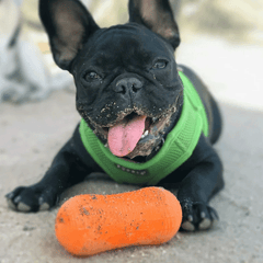 RUFF DAWG Weenut Crunch