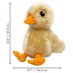 KONG Toughz Duck M