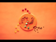 *PetDreamHouse SPIN Disc Lick Feeder & Frisbee M Orange