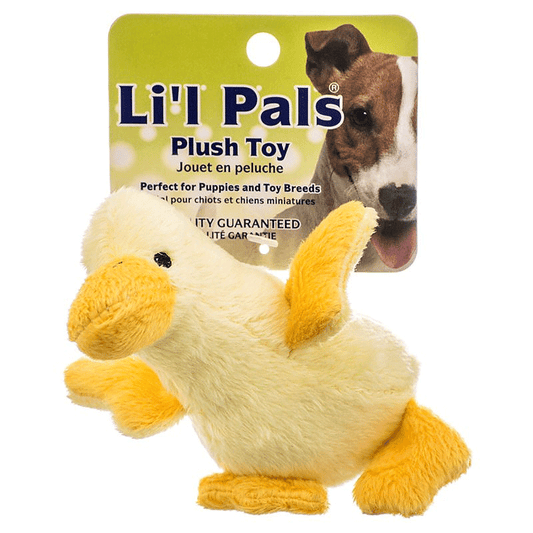 COASTAL Li'l Pals Plush Toy - Duck