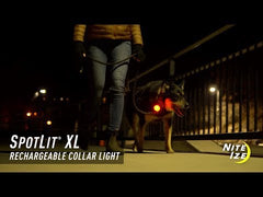 NITE IZE SpotLit Collar Light Rechargeable XL Disc-O Select