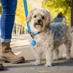 NITE IZE WearAbout Pet Tracker Holder Blue