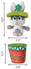 *KONG Puzzlements Surprise Flower Pot