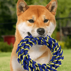 PETSPORT Twisted Chews Medium Braided Cotton Rope Ring 7"