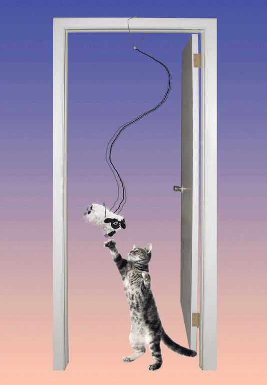 ETHICAL/SPOT A-Door-Able Baa Baa Black Sheep Cat Toy