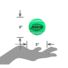 PETSPORT Tuff Balls Mint 2.5" 2pk