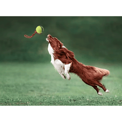 PETSPORT Giant Fling Thing 14" Rope w/4" Tuff Ball
