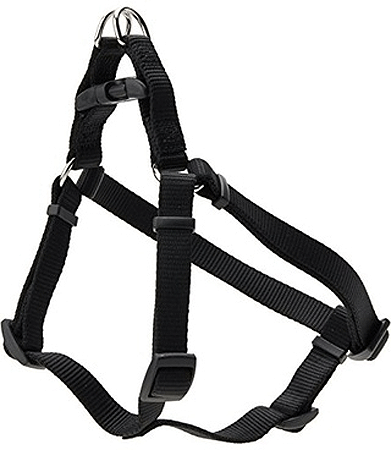 حزام COASTAL Comfort Wrap Harness مقاس 3/8 × 12-18 بوصة - أسود