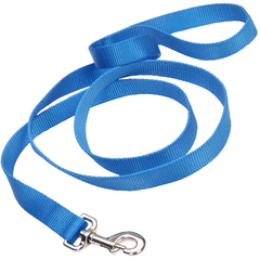 COASTAL Tuff 6' Lead 1in - Blue Lagoon