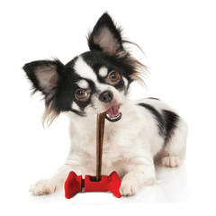 ETHICAL/SPOT Treat Holder 4.5"