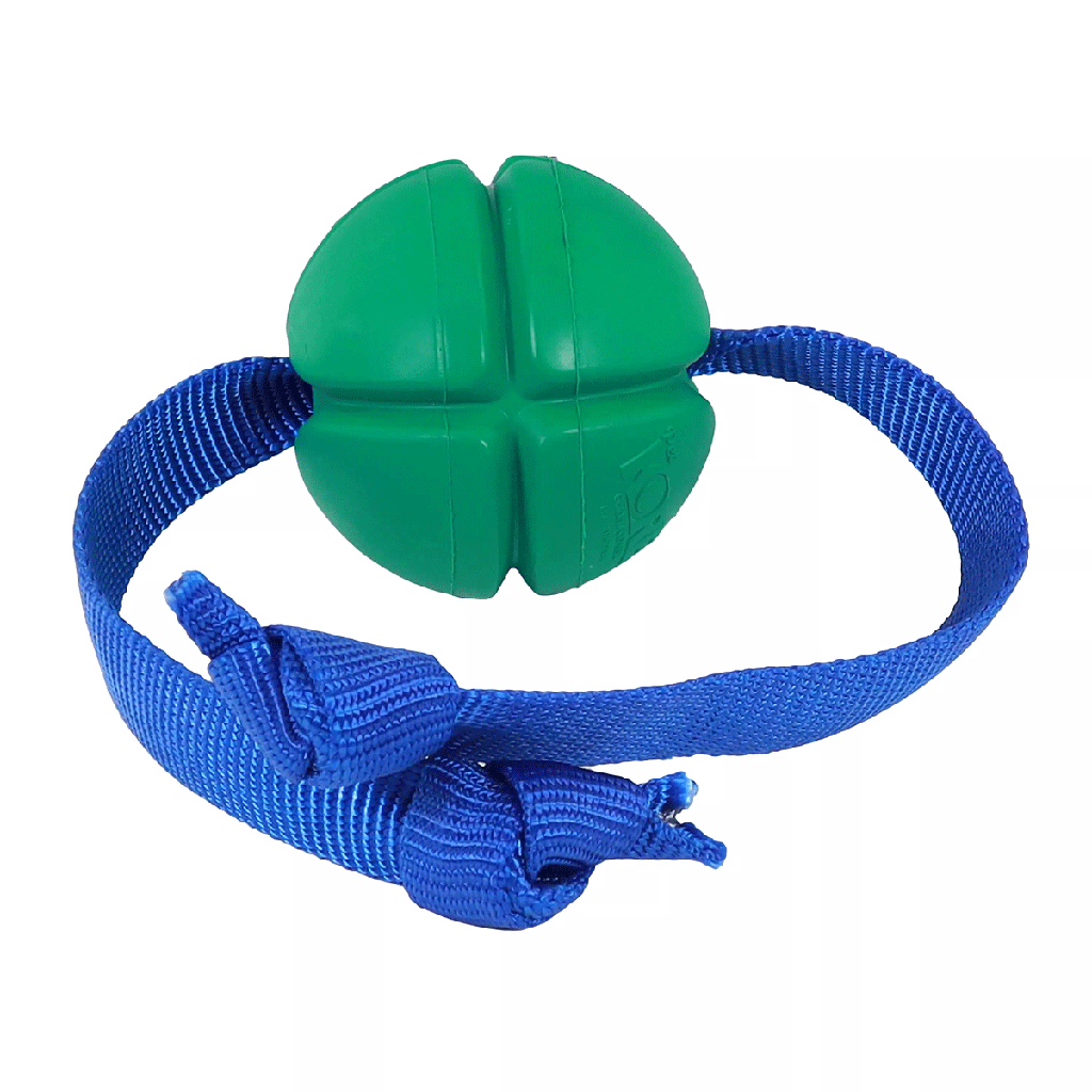 COASTAL PetKORE™ FloTek Tug للكلاب L