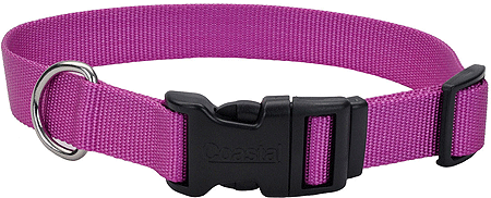 طوق كلب COASTAL Tuff قابل للتعديل 3/8 × 8-12 أوركيد